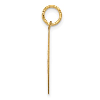 14k BEAGLE 20mm Engravable Disc Dog Charm — alternate view