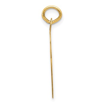 14k SWIMMING 19mm Engravable Disc Charm — alternate view