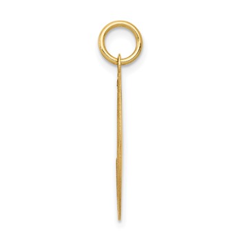 14k LABRADOR RETRIEVER 20mm Engravable Disc Dog Charm — alternate view