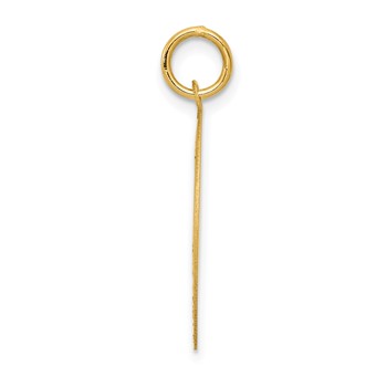 14k PUG 20mm Engravable Disc Dog Charm — alternate view