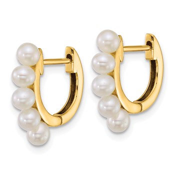 14k Polished 3-4mm Rice White South Sea Saltwater Cultured Pearl Hinged Hoop Earrings — alternate view