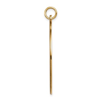 14k 32mm Round Non-enameled Medical Jewelry Pendant — alternate view