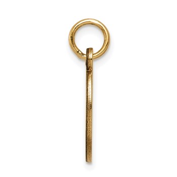 14k 16x9.5mm Oval Non-enameled Medical Jewelry Pendant — alternate view