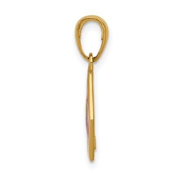 14k 14mm Hexagon Enameled Textured Back Medical Disc Pendant — alternate view