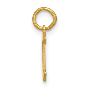 10k Yellow Gold Upper-case Letter C Epoxy Initial Charm — alternate view