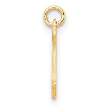 Sterling Silver/Gold-Plated Upper-case Letter X Epoxy Initial Charm — alternate view