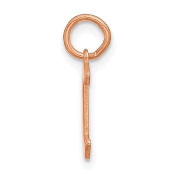 Sterling Silver/Rose Gold-Plated Upper-case Letter C Epoxy Initial Charm — alternate view