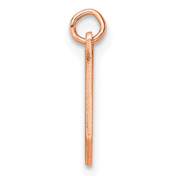 Sterling Silver/Rose Gold-Plated Upper-case Letter V Epoxy Initial Charm — alternate view