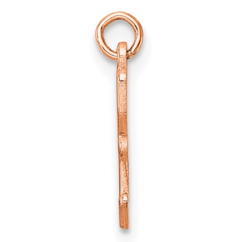 Sterling Silver/Rose Gold-Plated Upper-case Letter Z Epoxy Initial Charm — alternate view