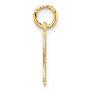 14k Yellow Gold Letter P Line Epoxy Initial Charm — alternate view