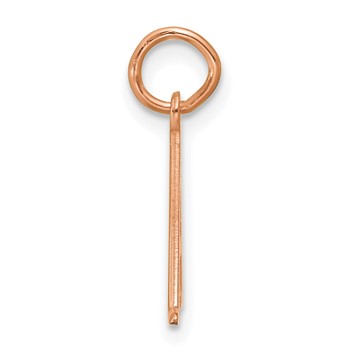 Sterling Silver/Rose Gold Line Epoxy Initial Charm — alternate view