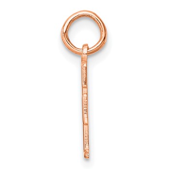 Sterling Silver/Rose Gold-Plated Letter F Line Epoxy Initial Charm — alternate view