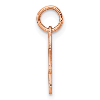 Sterling Silver/Rose Gold-Plated Letter G Line Epoxy Initial Charm — alternate view