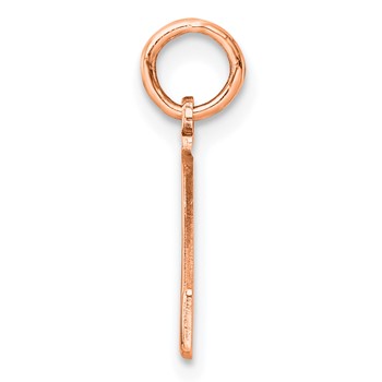 Sterling Silver/Rose Gold-Plated Letter L Line Epoxy Initial Charm — alternate view