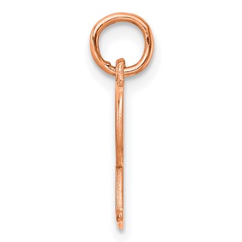 Sterling Silver/Rose Gold-Plated Letter P Line Epoxy Initial Charm — alternate view