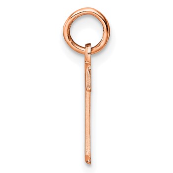 Sterling Silver/Rose Gold-Plated Letter T Line Epoxy Initial Charm — alternate view