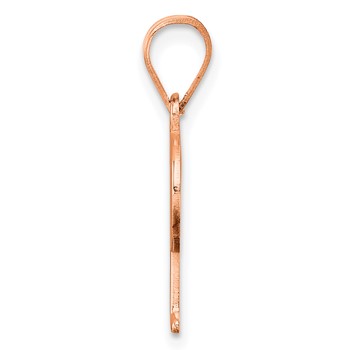 Sterling Silver/Rose Gold-Plated Letter P Line Epoxy Initial Charm — alternate view