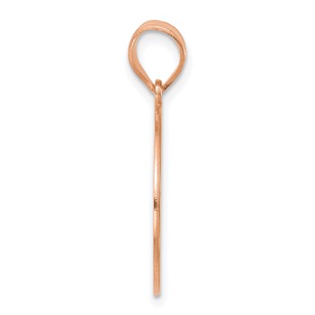 14k Rose Gold HOME/STATE Pendant — alternate view