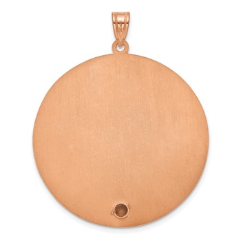 SS/Rose-plated Circle w/1 Birth Flower and Birthstone Pendant — alternate view