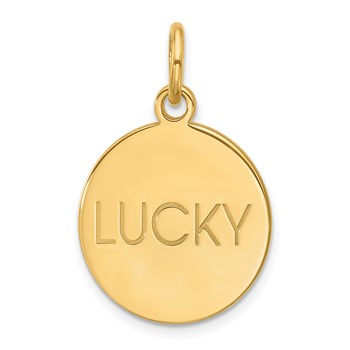 Sterling Silver/Gold-plated Large Round Animal Information Tag