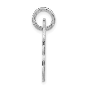 Sterling Silver/Rhodium-plated Large Bone Animal Information Tag — alternate view