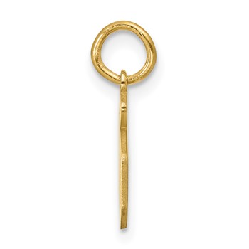 14k Yellow Gold Lower-case Letter D Epoxy Initial Charm — alternate view