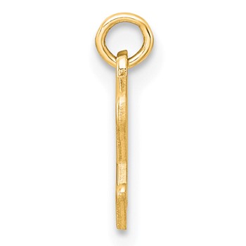 14k Yellow Gold Lower-case Letter E Epoxy Initial Charm — alternate view