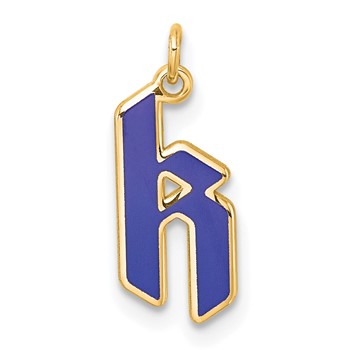 14k Yellow Gold Lower-case Letter K Epoxy Initial Charm