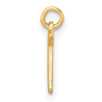 10k Yellow Gold Lower-case Letter R Epoxy Initial Charm — alternate view