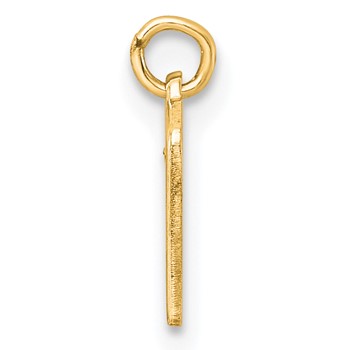 14k Yellow Gold Lower-case Letter U Epoxy Initial Charm — alternate view
