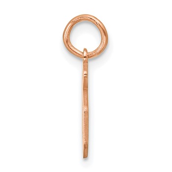 Sterling Silver/Rose Gold-Plated Lower-case Letter D Epoxy Initial Charm — alternate view