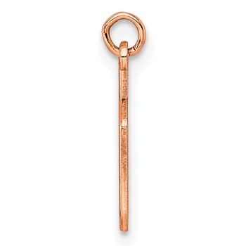 Sterling Silver/Rose Gold-Plated Lower-case Letter H Epoxy Initial Charm — alternate view