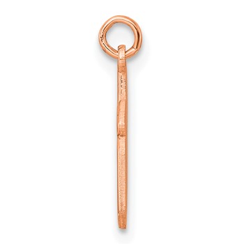 Sterling Silver/Rose Gold-Plated Lower-case Letter K Epoxy Initial Charm — alternate view