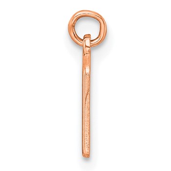 Sterling Silver/Rose Gold-Plated Lower-case Letter M Epoxy Initial Charm — alternate view
