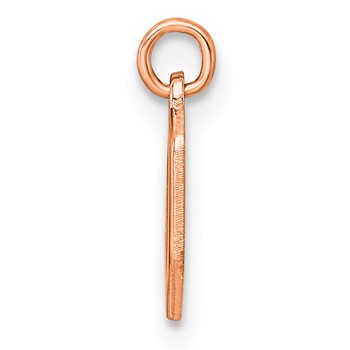 Sterling Silver/Rose Gold-Plated Lower-case Letter O Epoxy Initial Charm — alternate view