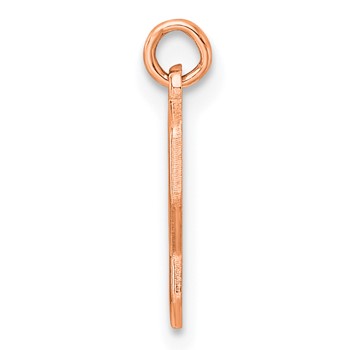 Sterling Silver/Rose Gold-Plated Lower-case Letter P Epoxy Initial Charm — alternate view