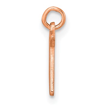Sterling Silver/Rose Gold-Plated Lower-case Letter R Epoxy Initial Charm — alternate view