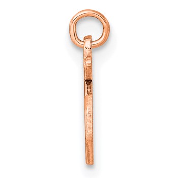 Sterling Silver/Rose Gold-Plated Lower-case Letter S Epoxy Initial Charm — alternate view