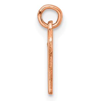 Sterling Silver/Rose Gold-Plated Lower-case Letter U Epoxy Initial Charm — alternate view