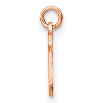 Sterling Silver/Rose Gold-Plated Lower-case Letter X Epoxy Initial Charm — alternate view