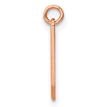 Sterling Silver/Rose Gold-Plated Lower-case Letter Y Epoxy Initial Charm — alternate view