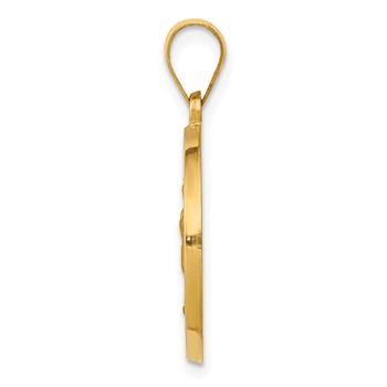 14K Polished and Satin Hollow Spanish Our Lady of Guadalupe Round Medal Pendant — alternate view